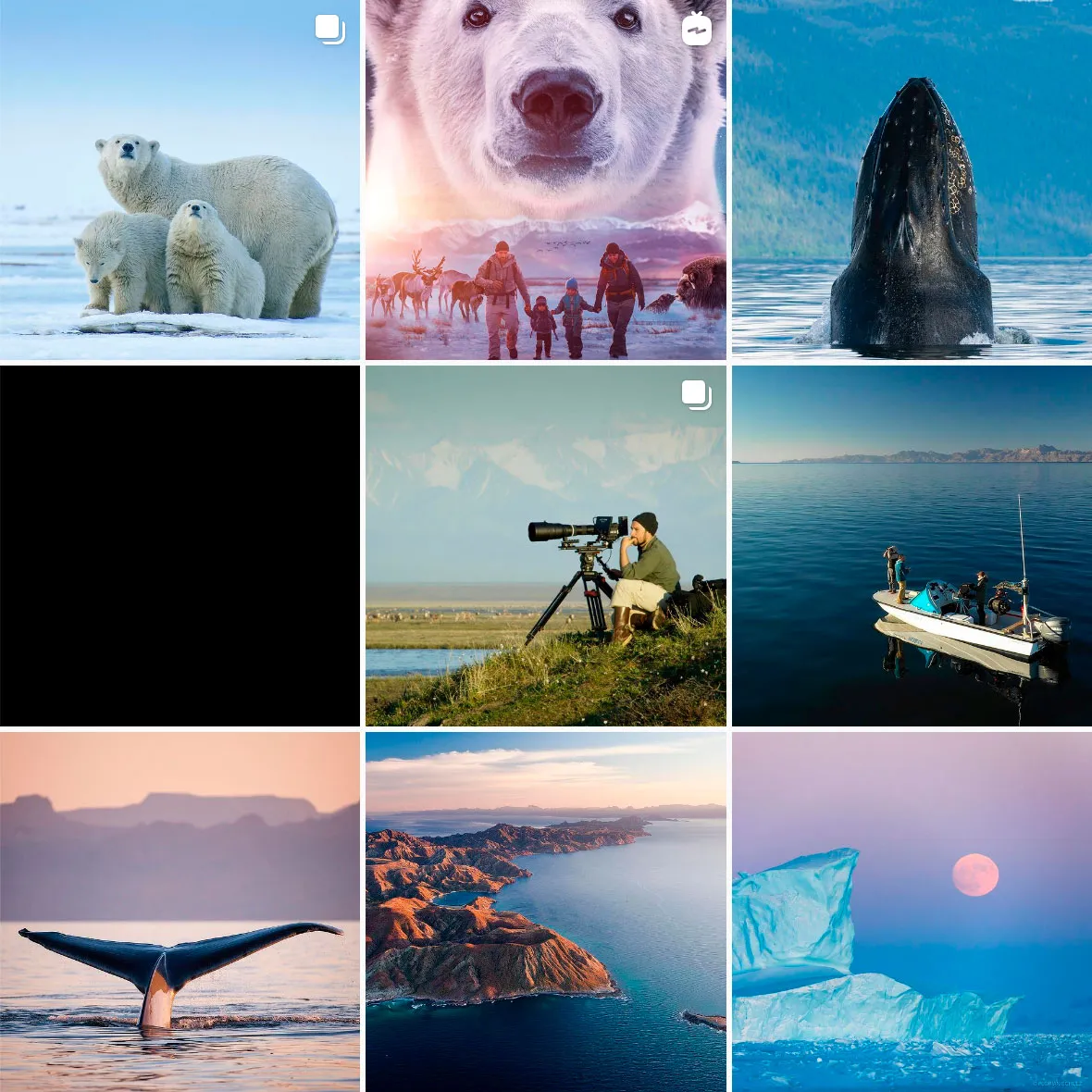 Welcome - Natural History Film Production & Equipment Rental in Alaska